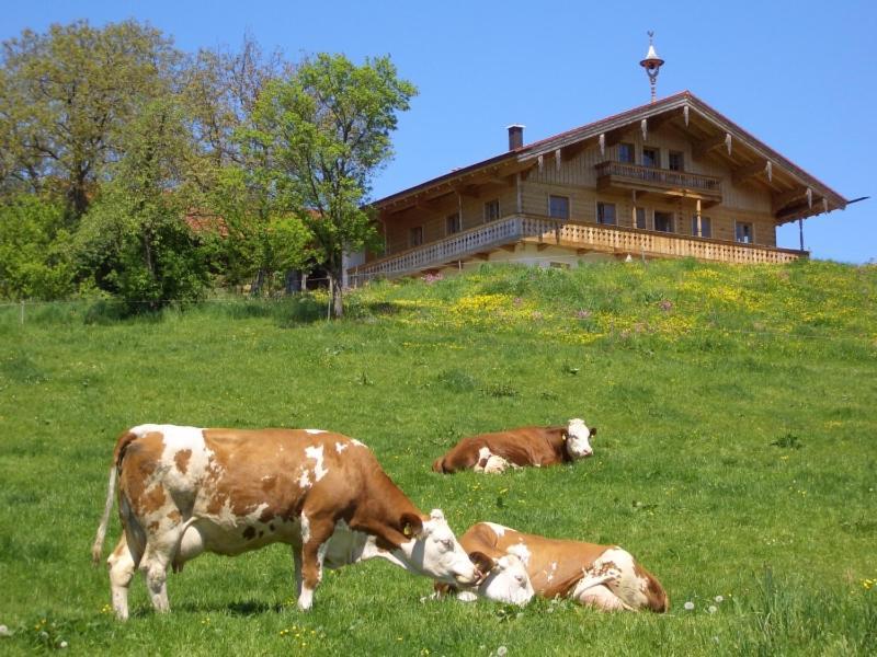 Huberbauernhof Ferienwohnungen Piding Εξωτερικό φωτογραφία